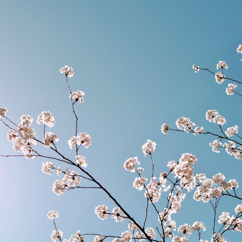 Phụ huynh bé Gia Huy